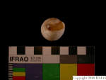L_V22d6522 A16q852.4 Tx06 dM sh f318